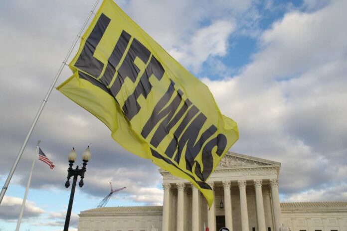 Washington,,Dc,-,January,20,,2023:,Pro-life,Protesters,Wave,A