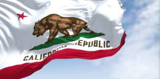 California state flag featuring a bear and a star
