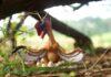 A colorful dinosaur model with wings and eggs in a natural setting