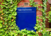 Sign for Yale University partially covered by ivy