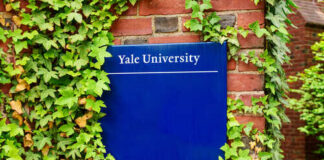 Sign for Yale University partially covered by ivy