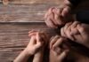 25,000 Christians FACE Harsh Eviction – No Plan! Multiple hands clasped together on a wooden surface