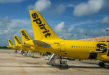 Multiple yellow Spirit Airlines planes parked at an airport