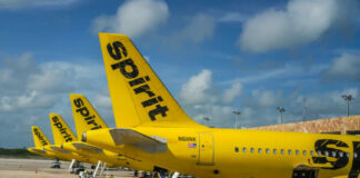 Multiple yellow Spirit Airlines planes parked at an airport