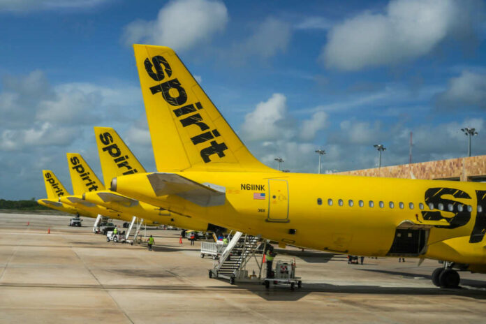 Multiple yellow Spirit Airlines planes parked at an airport