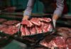 A butcher holding a tray of fresh meat cuts