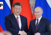 Trump’s Summit Overshadowed? Putin Makes His Move Putin will visit China days after Trump met with Xi Jinping
