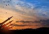 Drone War Escalation: Odesa Devastated Silhouette of missiles against a colorful sunset with birds flying
