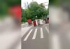 Tourist Death Ignites City Hall Showdown 18-year-old tourist killed after being thrown from horse carriage in Central Park