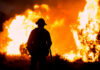 Burnover Horror Sparks Accountability War Silhouette of a firefighter standing in front of a large wildfire