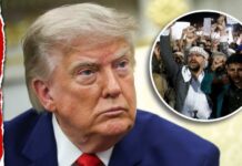 Watch Trump's Response to a Possible Houthi Red Sea Blockade: "We Take Care of Things"