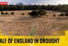 BREAKING: Half of England in drought, Environment Agency says