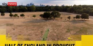 BREAKING: Half of England in drought, Environment Agency says
