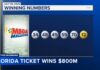 Florida ticket wins $800M Mega Millions jackpot