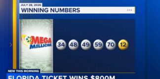 Florida ticket wins $800M Mega Millions jackpot
