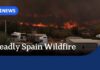Tourists among several killed in 'terrifying' wildfire in southern Spain | ABC NEWS