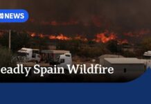 Tourists among several killed in 'terrifying' wildfire in southern Spain | ABC NEWS