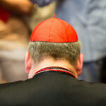 Back view of a cardinal wearing a red zucchetto and black attire