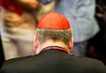 Top Cardinal Steps Back After Shocking Claims Back view of a cardinal wearing a red zucchetto and black attire