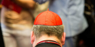 Back view of a cardinal wearing a red zucchetto and black attire