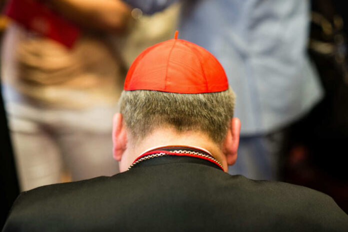 Back view of a cardinal wearing a red zucchetto and black attire