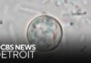 Michigan cyclosporiasis outbreak continues