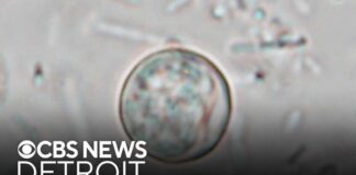 Michigan cyclosporiasis outbreak continues