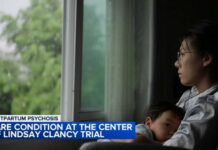 Lindsay Clancy trial: Defense calls experts to testify about postpartum psychosis