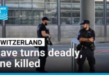 Midnight Rampage Shocks Switzerland Gunman kills one at Swiss rave party • FRANCE 24 English