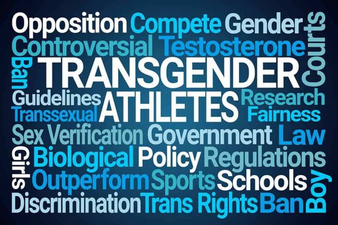 shutterstock_1427449388 Word cloud on transgender athletes debate