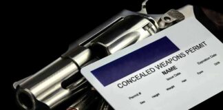 Revolver with bullets and concealed weapons permit card