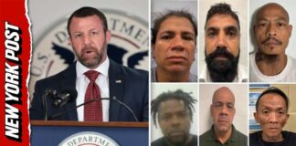 2K Illegal Migrants — Including Child Rapists, Killers — Nabbed in ‘Operation Rotten Apple’