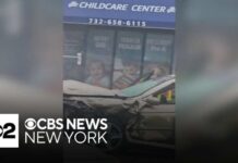 Driver trying to get away from ICE agents crashes in New Jersey