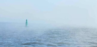 Green buoy in foggy sea
