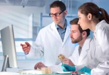 Fire Amoeba Defies Biology’s Hard Limit Scientists in lab coats reviewing data on a computer