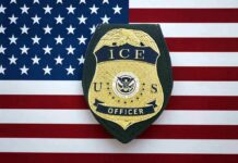 Fugitive Trucker Nabbed In Routine Stop ICE officer badge on American flag background