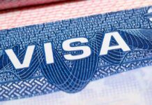 Trafficking Clues Trigger H-1B Crackdown Close-up of a U.S. visa page