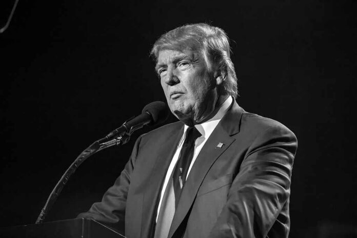 October,15,,2016,,Edison,,Nj,-,Donald,Trump,Speaks,At Donald Trump speaking at a microphone in a black-and-white photo
