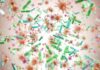 Colorful microscopic bacteria and viruses floating in space