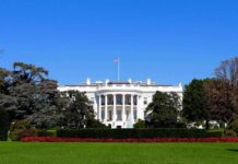 Charity Stage Meltdown Triggers DC Brawl The White House facade with flag and gardens
