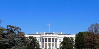 The White House facade with flag and gardens
